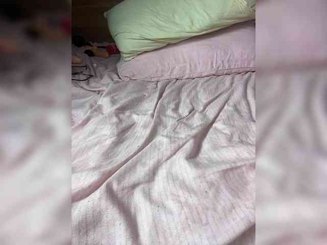 ALISA_PRO_MAX webcam