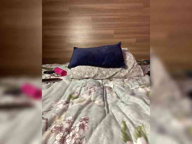ALISA_PRO_MAX webcam