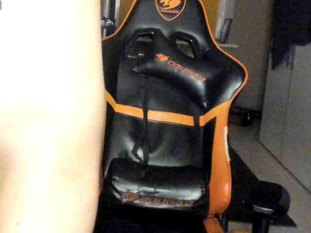 CamDragonic24 webcam