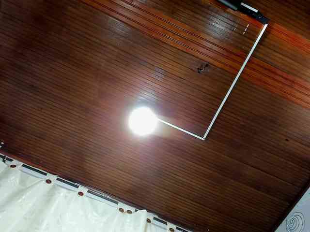 lunaeva23 webcam