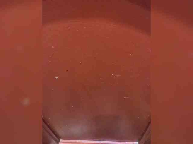 Andkota Live Webcam on BongaCams Andkota Live Webcam on BongaCams