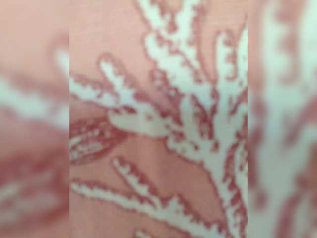 XXhornywetprincess99XX's BongaCams show and profile