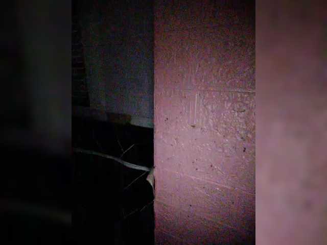 XXhornywetprincess99XX's BongaCams show and profile