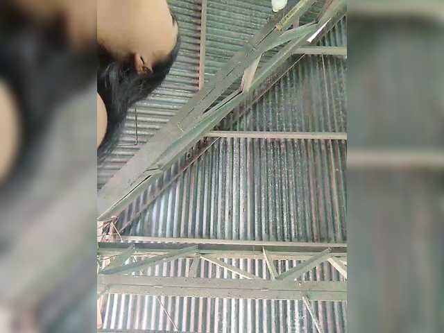 XXhornywetprincess99XX's BongaCams show and profile