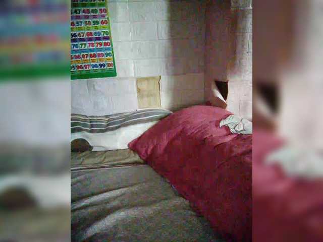 XXhornywetprincess99XX's BongaCams show and profile