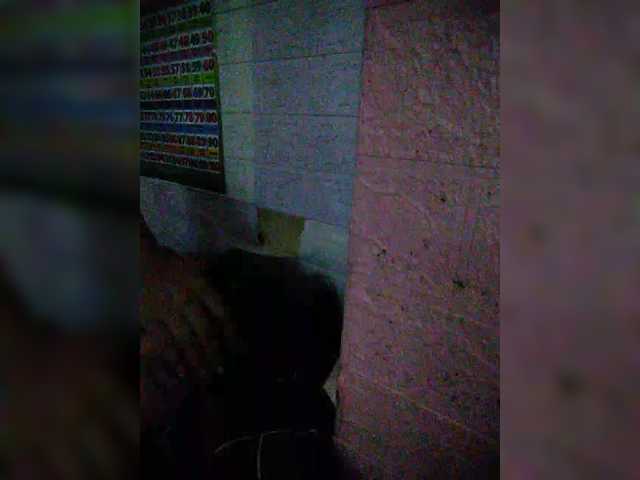 hornylittleprincess69 webcam