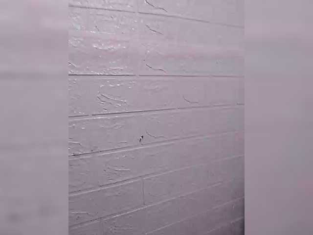 XXhornywetprincess99XX live cam profile