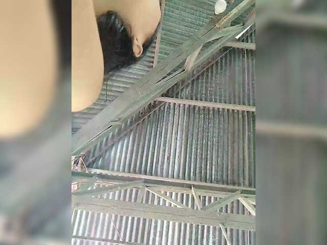 XXhornywetprincess99XX's BongaCams show and profile