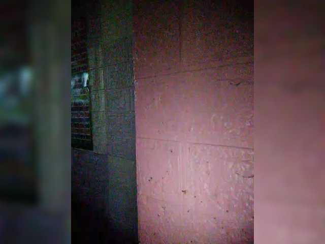 XXhornywetprincess99XX's BongaCams show and profile