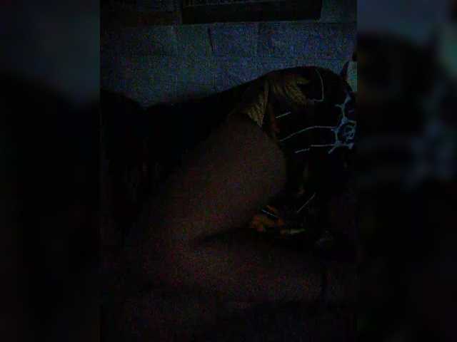 XXhornywetprincess99XX's BongaCams show and profile