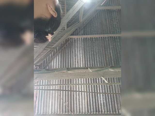 XXhornywetprincess99XX's BongaCams show and profile