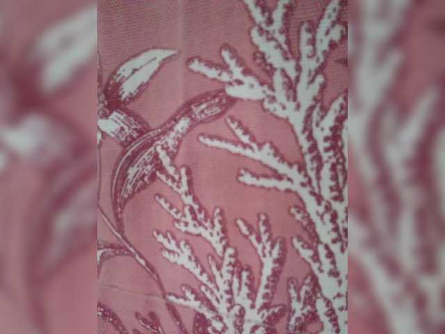 XXhornywetprincess99XX's BongaCams show and profile