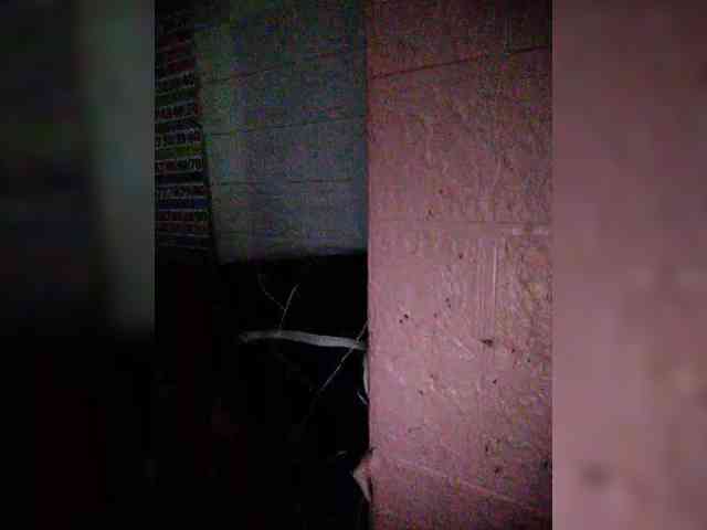 hornylittleprincess69 webcam