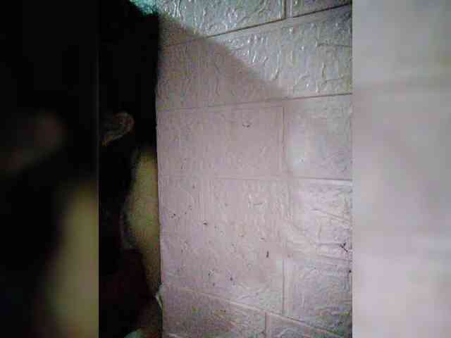 XXhornywetprincess99XX XXhornywetprincess99XX