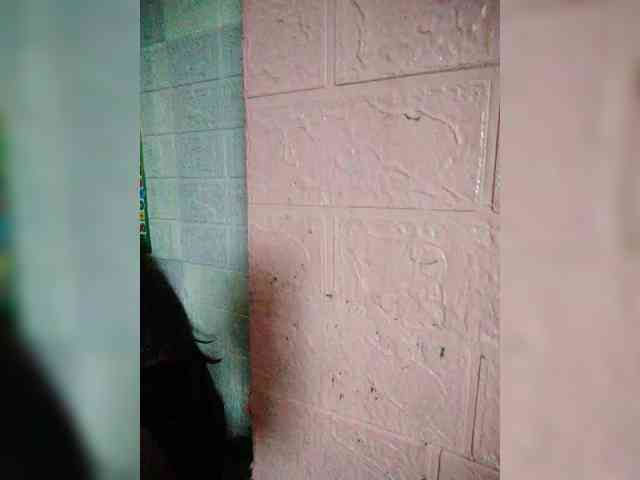 hornylittleprincess69 webcam