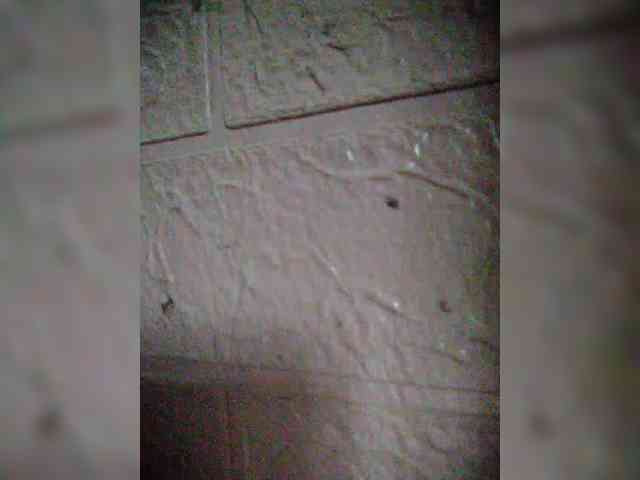 XXhornywetprincess99XX XXhornywetprincess99XX