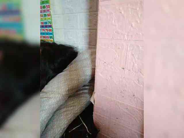 XXhornywetprincess99XX