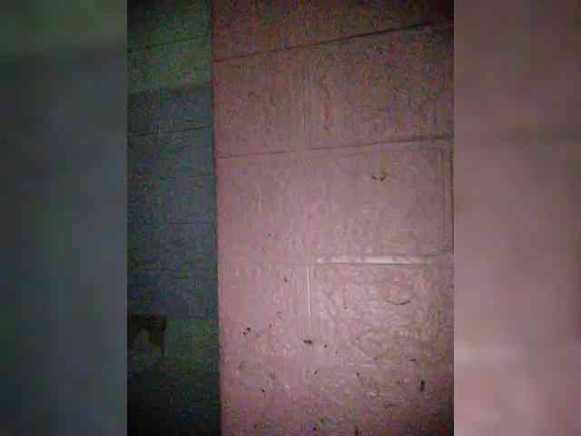 hornylittleprincess69 webcam