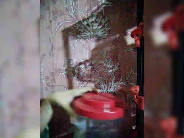 hornylittleprincess69 webcam