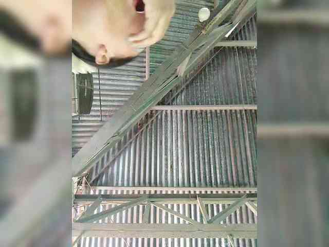 hornylittleprincess69 webcam