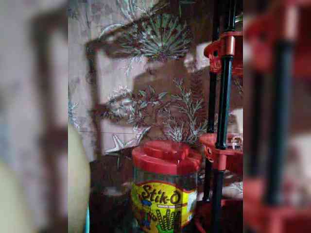 hornylittleprincess69 webcam