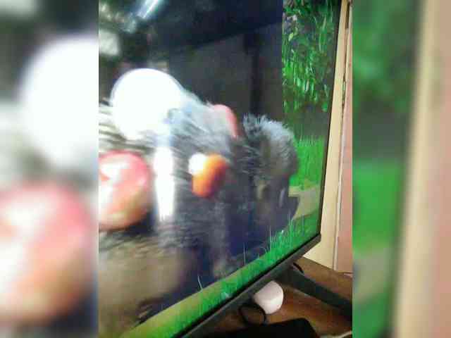 hornylittleprincess69 webcam