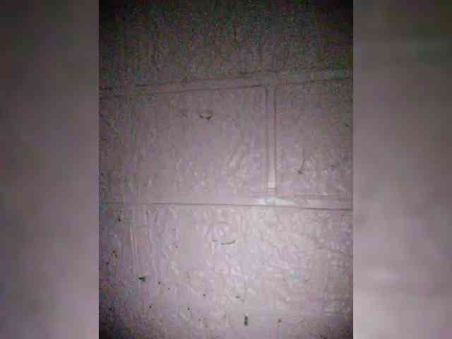 hornylittleprincess69 webcam