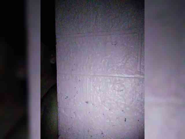 hornylittleprincess69