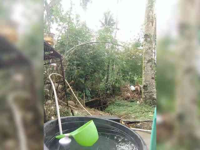 XXhornywetprincess99XX XXhornywetprincess99XX