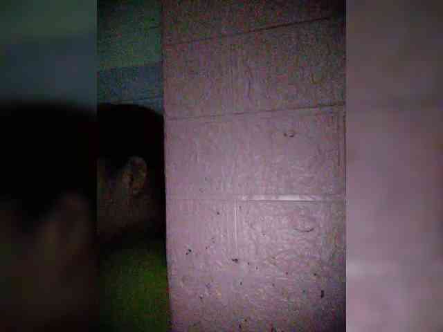 hornylittleprincess69 webcam