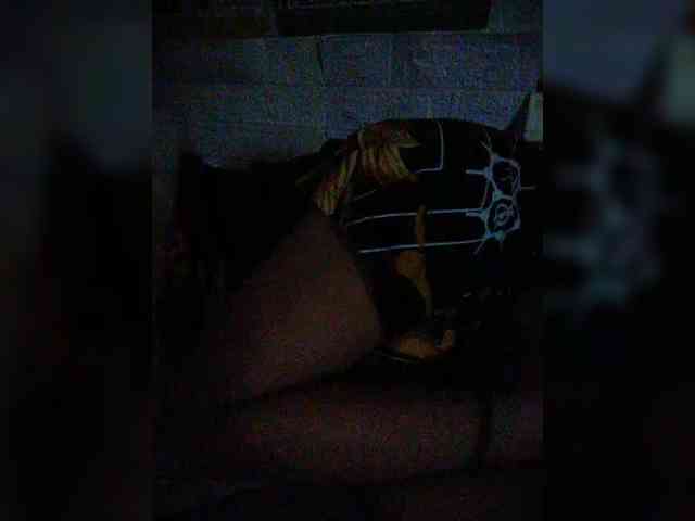 hornylittleprincess69 webcam