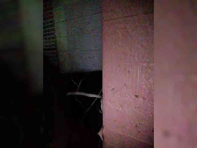 hornylittleprincess69 webcam