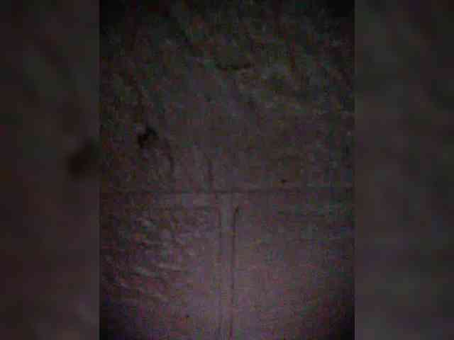 hornylittleprincess69 webcam