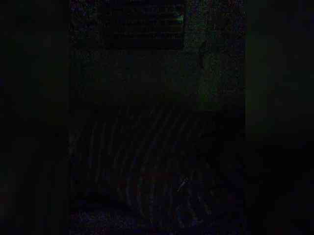 hornylittleprincess69 webcam