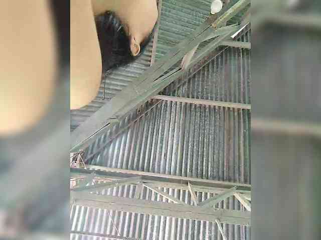 hornylittleprincess69 webcam