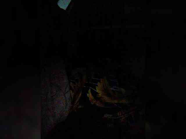 hornylittleprincess69 webcam