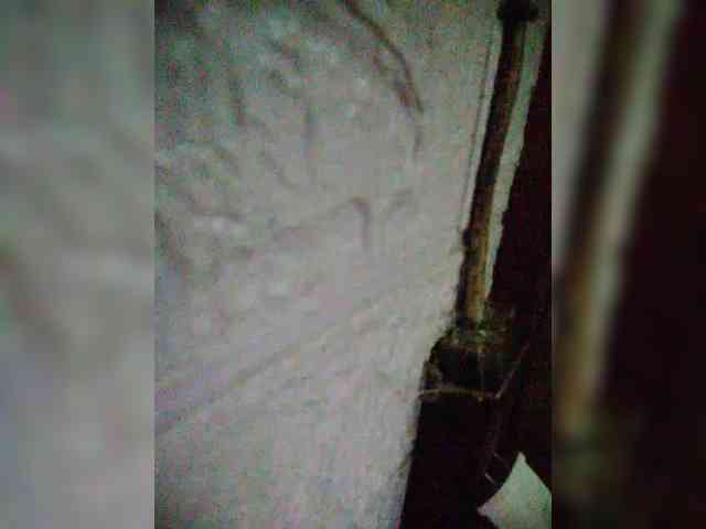 hornylittleprincess69 webcam