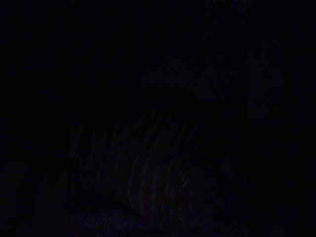 hornylittleprincess69 webcam