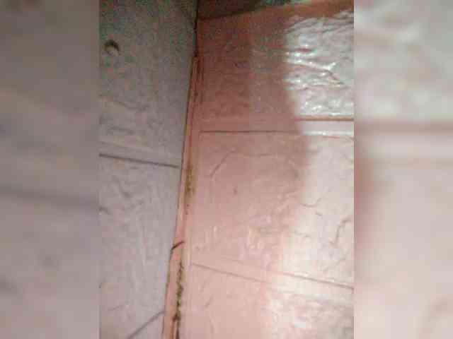 hornylittleprincess69 webcam