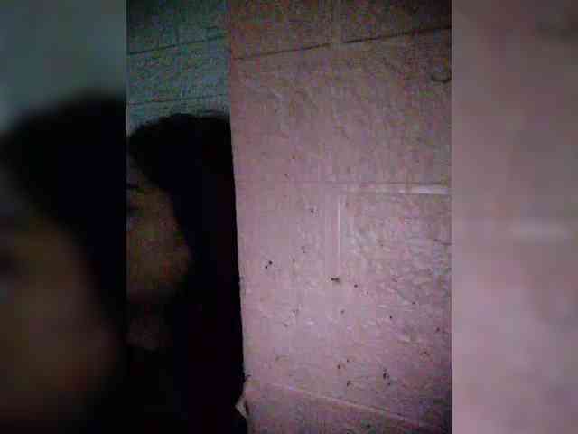 hornylittleprincess69 webcam