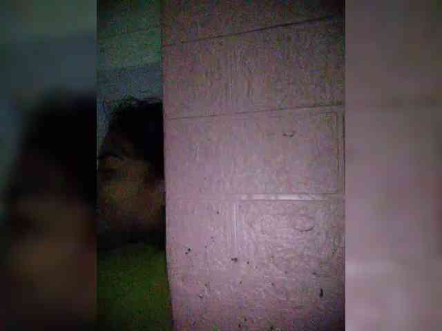 XXhornywetprincess99XX