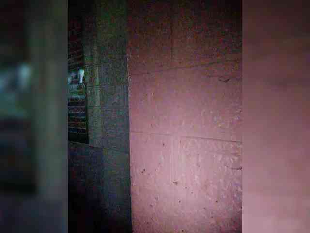 XXhornywetprincess99XX XXhornywetprincess99XX