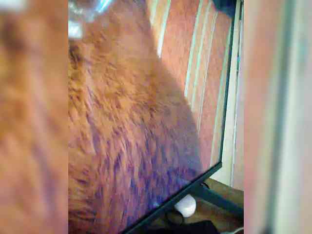 hornylittleprincess69 webcam