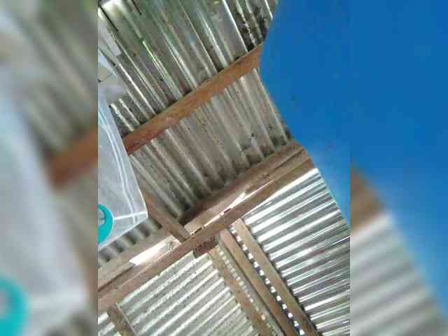 hornylittleprincess69 webcam