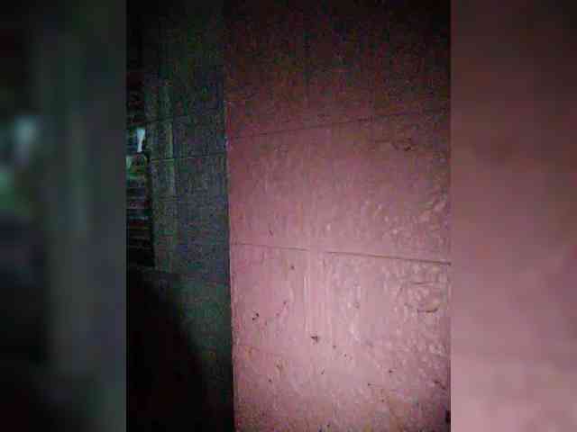 XXhornywetprincess99XX XXhornywetprincess99XX