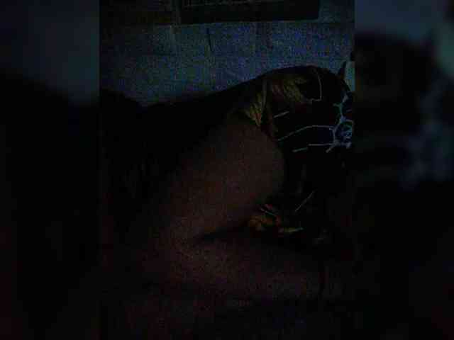 hornylittleprincess69 webcam