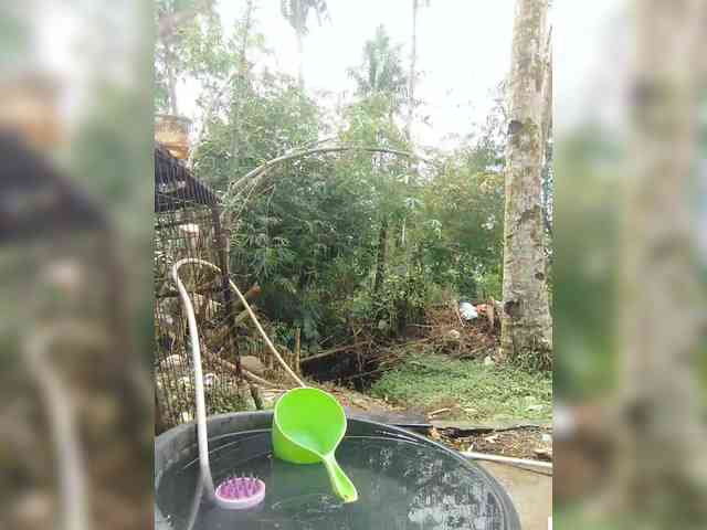 hornylittleprincess69 webcam