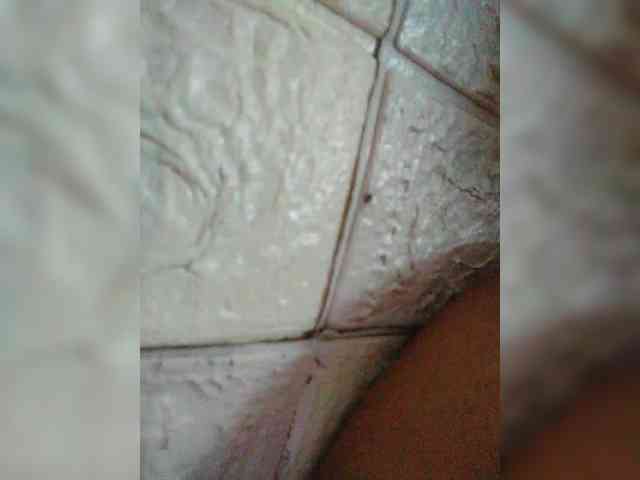 hornylittleprincess69 webcam