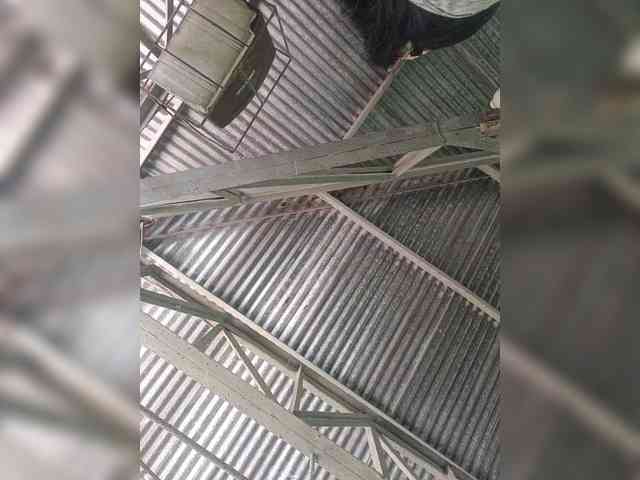 hornylittleprincess69 webcam