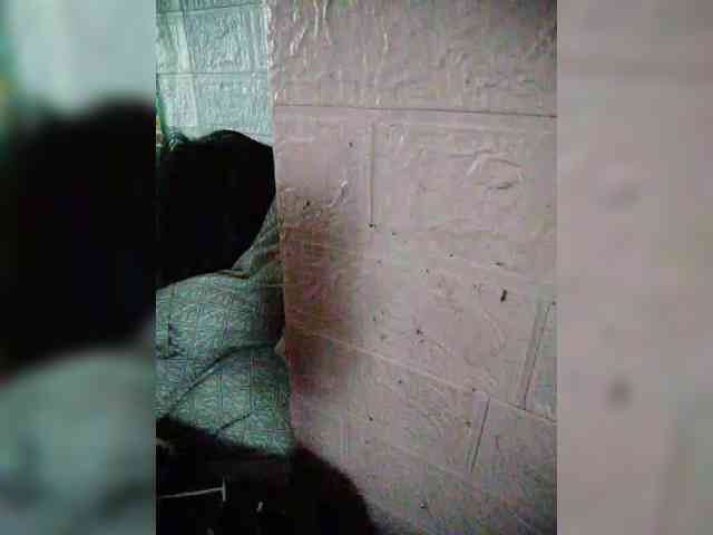 hornylittleprincess69 webcam